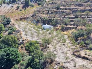 Masia a Gualchos. Finca con almendros y cortijo en gualchos