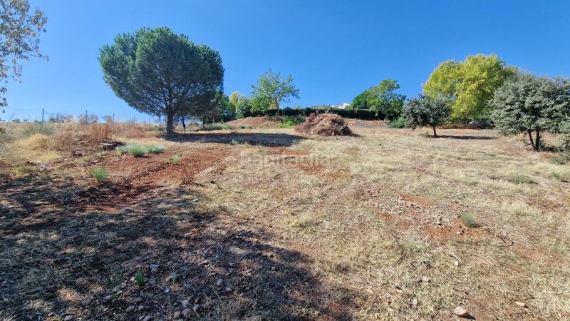 Foto 05dc2979-8bc7-4b59-a25a-4c63eec36e46. Chalet with heating parking in Carretera de Sevilla - Los Montitos Badajoz