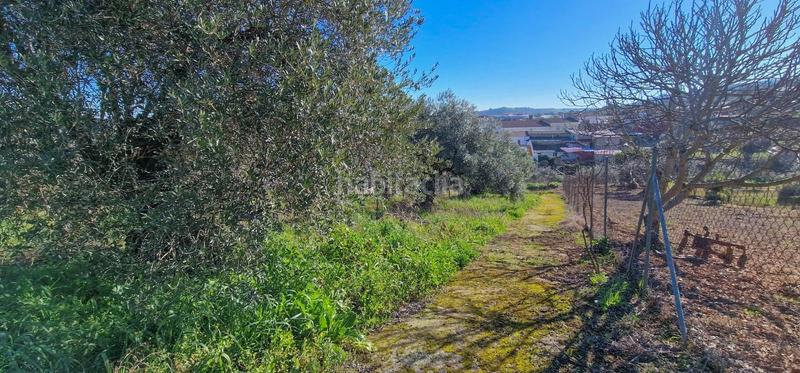Foto 4b7aaf63-f823-4616-b364-090713ef55df. Mas dans Salvatierra de los Barros