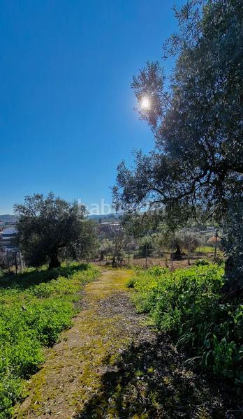 Foto ac7cb62b-e1b0-4ebd-824c-f0965fbf4791. Masía casa con terreno badajoz en Salvatierra de los Barros