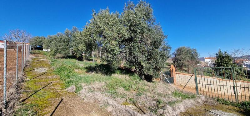 Foto ff1ae799-ce1e-4cc8-bf6a-fd2312bd0460. Masía casa con terreno badajoz en Salvatierra de los Barros