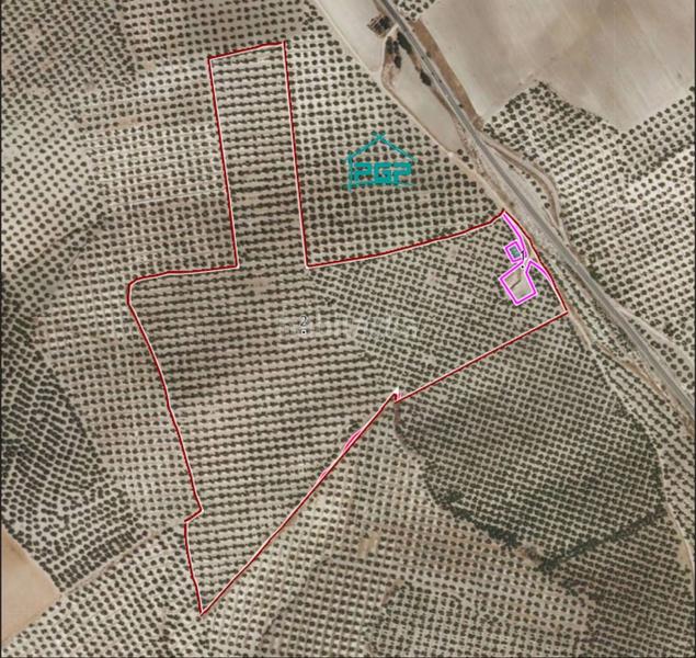 Foto a794cfdb-75e3-4d7f-8d92-3b6a0ff6c40d. Finca rústica finca rúst. en venta . en Torreperogil