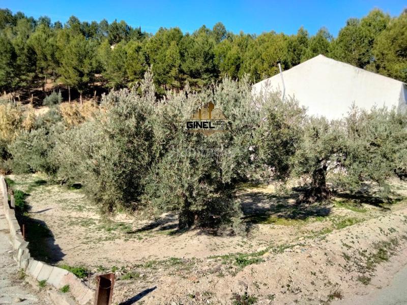 Foto e28380ac-bef4-4b7b-8c35-a0f8df7af842. Capannone industriale in Puente Jontoya - Puente de la Sierra - El Arroyo Jaén