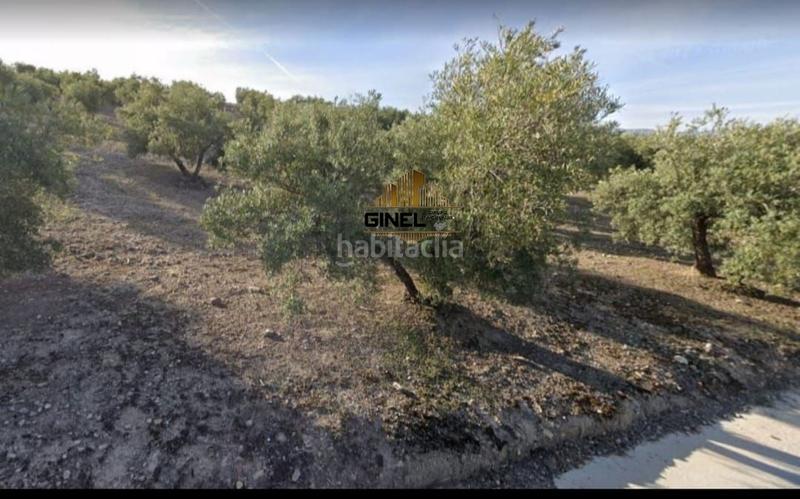 Foto 5e269fab-b92d-4ddb-8d7e-35d5cb848a4e. Masía finca rúst. en venta en polígono industrial los olivares. en Jaén