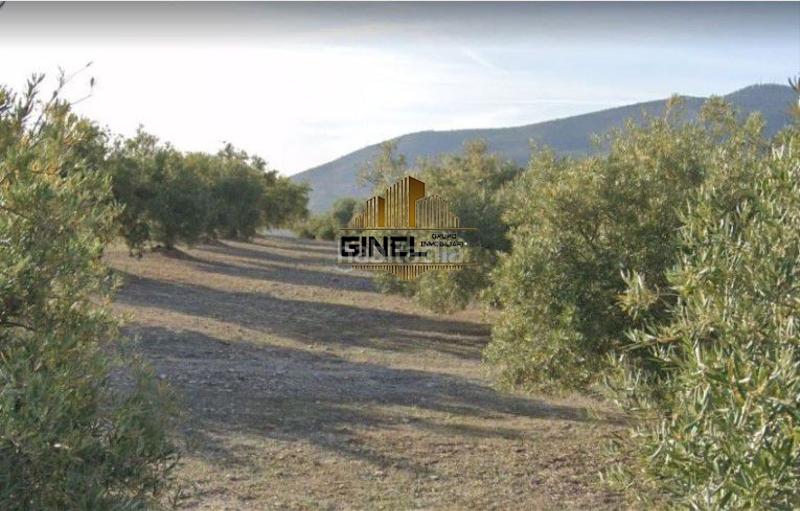 Foto d83c234a-ba0f-4de7-bf51-9d30413f537e. Masía finca rúst. en venta en polígono industrial los olivares. en Jaén