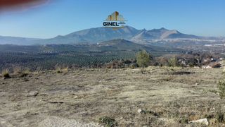 Residential Plot in Guardia de Jaén (La). Parcela en venta en guardia de jaen la.