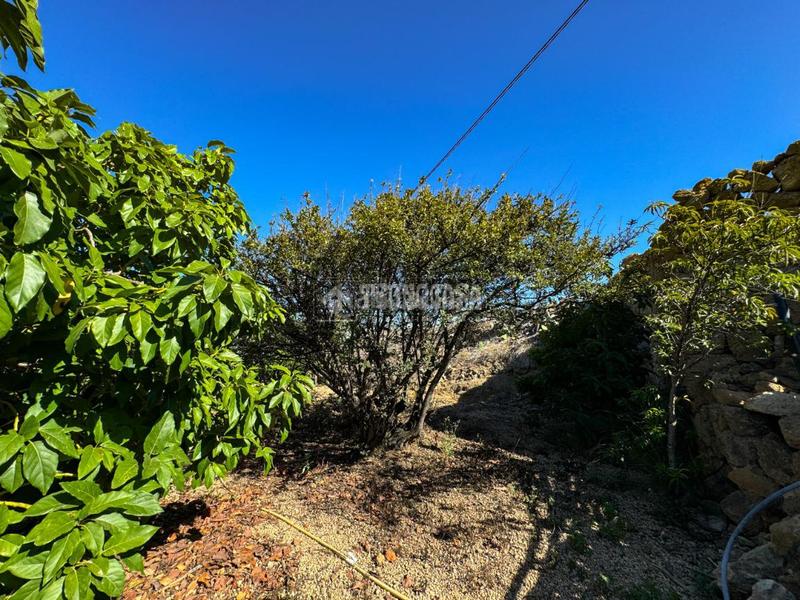 Foto e152f128-0dce-4143-a91a-46b570100c44. Masía casa rural en venta en Arico