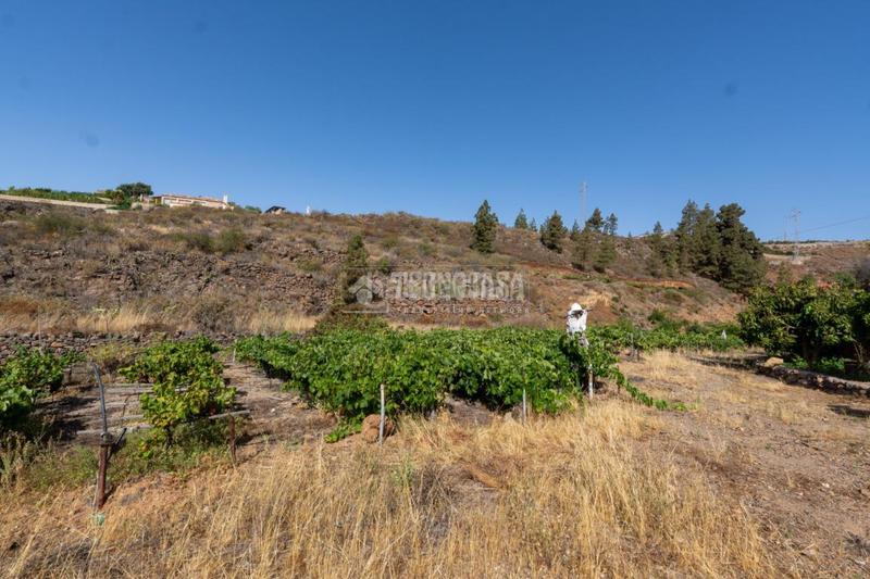 Foto 39c904ee-ad43-416a-8dda-567da596a542. Masía casa rural en venta en Charco del Pino Granadilla de Abona