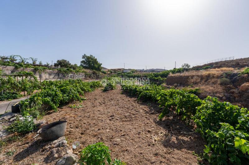 Foto 6d4d0280-0510-48be-ae13-0ad0b42f8e45. Masía casa rural en venta en Charco del Pino Granadilla de Abona