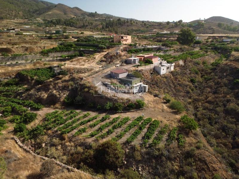 Foto c127d189-690f-495a-bcbf-e14f93a12e1a. Masía casa rural en venta en Charco del Pino Granadilla de Abona