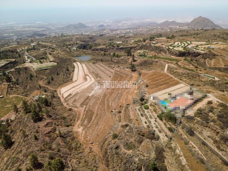 Foto 4d31d0e7-cd42-4fbd-abd7-0f588dd8e2a4. Finca rústica a San Miguel San Miguel de Abona