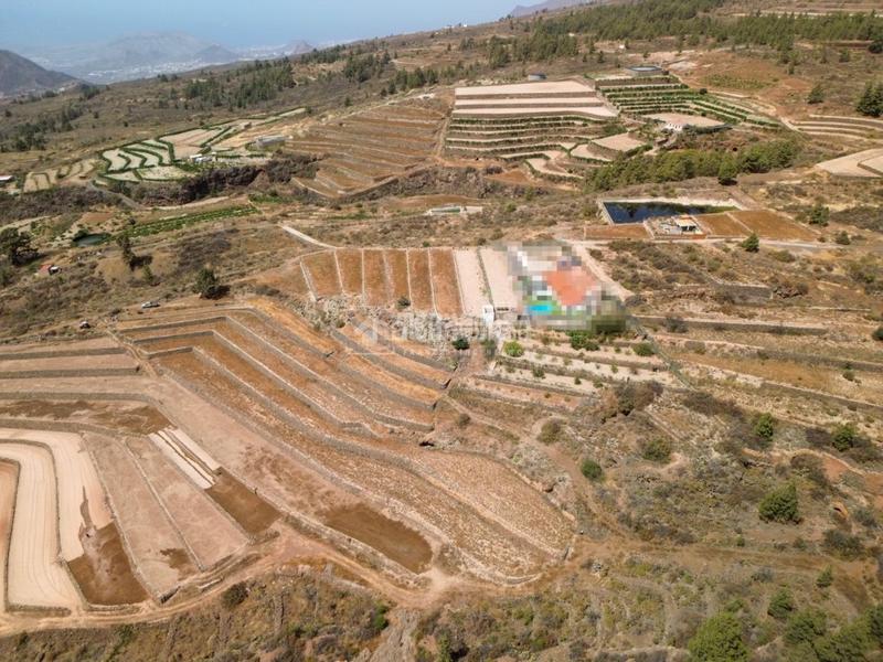 Foto 5a7bc51a-57a1-4bdc-bc98-1fc738e4db67. Finca rústica a San Miguel San Miguel de Abona