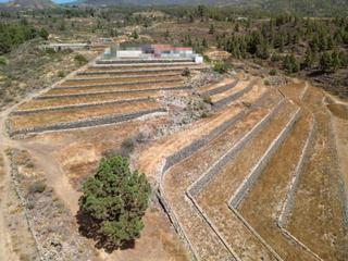 Finca rústica a San Miguel. Terrenos en venta en san miguel de abona