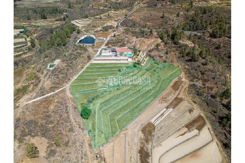 Foto a424d0a5-e98e-44b0-9aa4-fd8e47fb0fb3. Finca rústica a San Miguel San Miguel de Abona