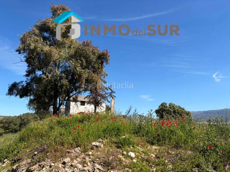 Foto 4f459d59-2808-4258-8fcc-4cbe3d28b277. Finca rústica finca parcela de olivos cerillo el viento en Cabra