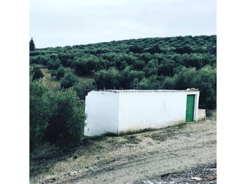 Foto 60915aee-4c75-47a0-9d99-2d4bd8507230. Fondo rustico in Cabra