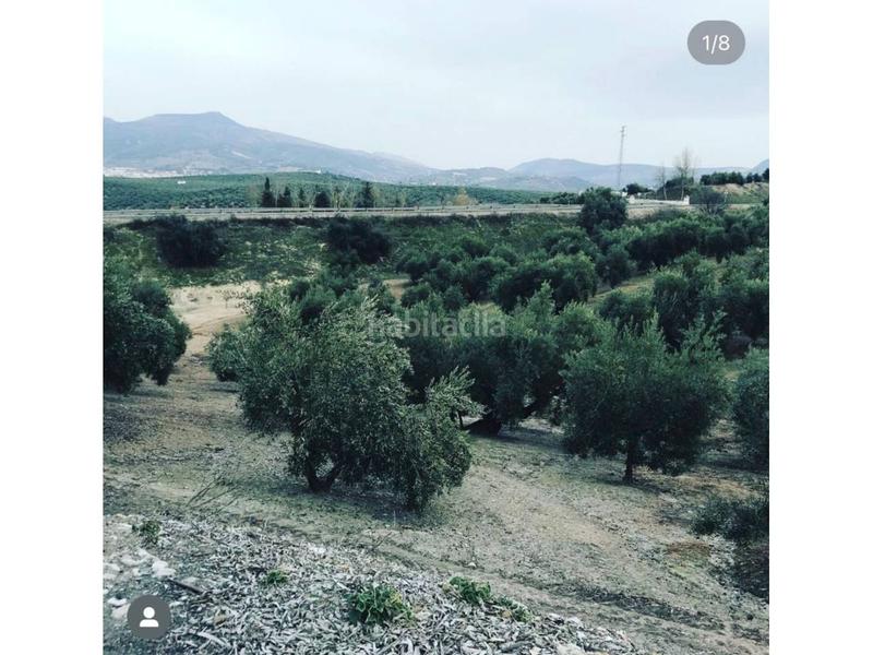 Foto 78c51e42-40ca-4cb5-851d-2852ca969a50. Fondo rustico in Cabra