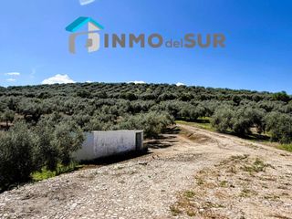 Rural plot  Carretera lucena-doña mencía. Finca parcela de olivos  cerillo el viento