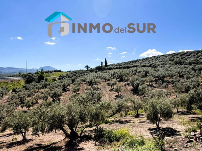 Foto ad1e922c-a06c-44ae-93d8-5b1d161fbf96. Finca rústica finca parcela de olivos cerillo el viento en Cabra