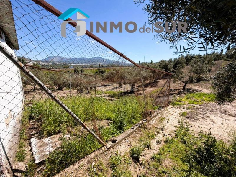 Foto cdb5321f-118a-40fc-a93b-a13d2074861a. Finca rústica finca parcela de olivos cerillo el viento en Cabra