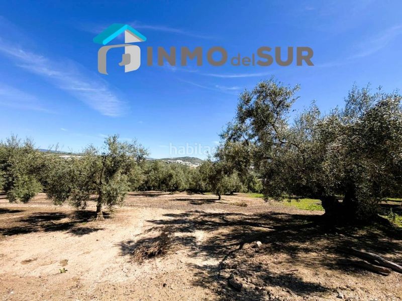 Foto e48d6142-34c8-4d69-bd43-8f0b8a909412. Finca rústica finca parcela de olivos cerillo el viento en Cabra
