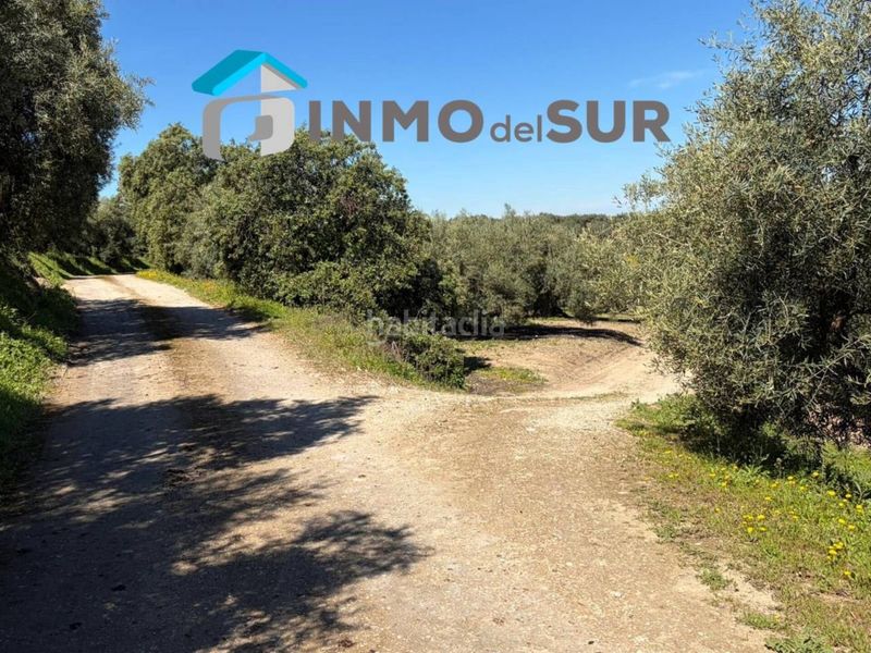 Foto f6614d1c-38e2-4a7b-af8d-45595b8fd081. Finca rústica finca parcela de olivos cerillo el viento en Cabra