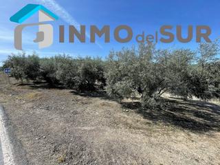 Finca rústica a Cabra. Finca rustica en venta en cabra