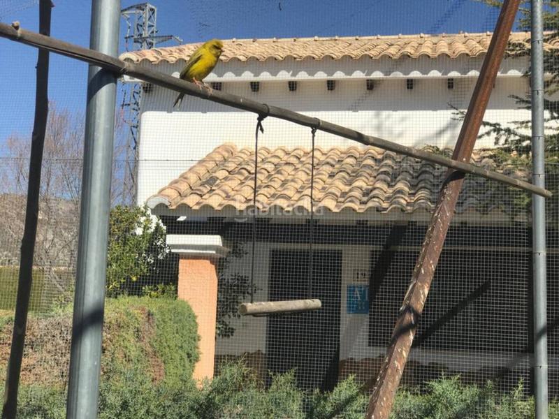 Foto 2857048e-9f37-45fa-8fb5-3989429c2412. Gebäude in Pozo Alcón