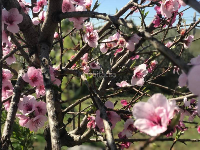 Foto d354a0cf-bc30-4eb8-9c34-5a82f16f23a1. Gebäude in Pozo Alcón