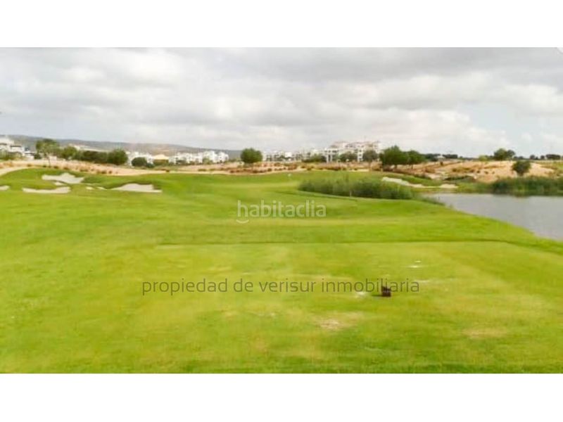 Foto f7635c25-8796-43ba-9341-f82fb9f43b49. Pis a Jerónimo y Avileses Murcia