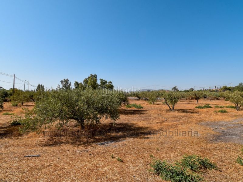 Foto 750a1bba-e381-4693-8466-76bf25fa4490. Finca rústica en venta terreno rústico en Torrecilla Lorca