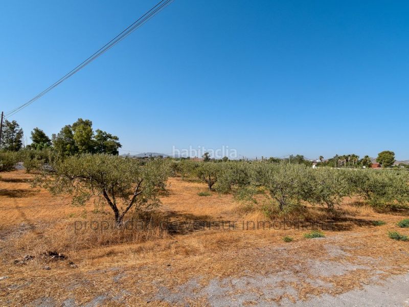 Foto 7791ee94-e899-4eb7-af47-d8a915398757. Finca rústica en venta terreno rústico en Torrecilla Lorca