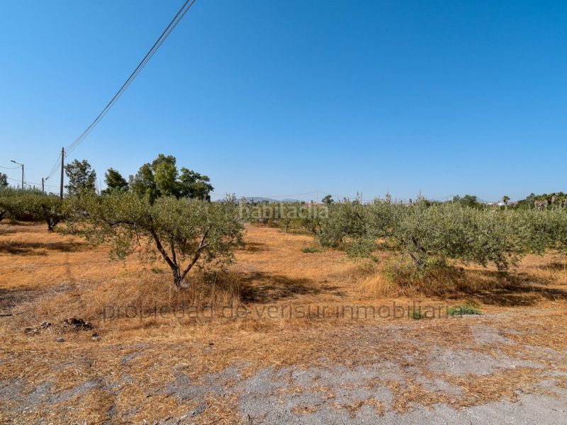 Foto 78280b71-fb2b-4fd7-8735-3810d989d69f. Finca rústica en venta terreno rústico en Torrecilla Lorca