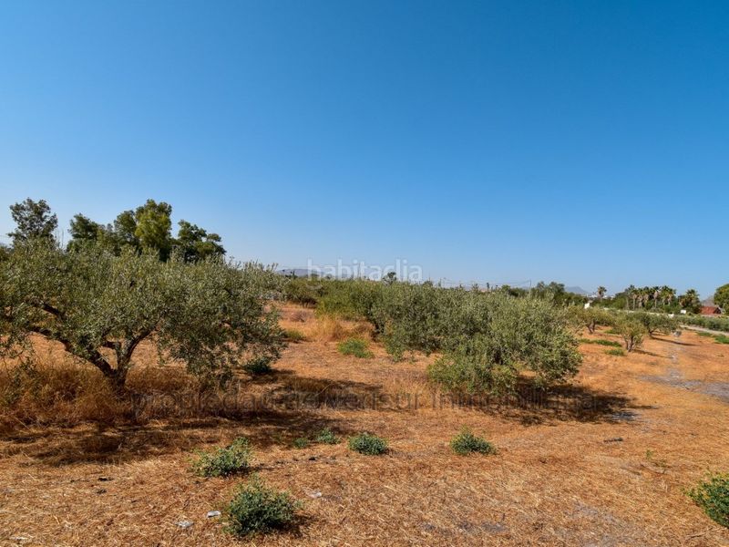 Foto a8ae0c9e-6996-4d09-b2b3-6878f7d0b14c. Finca rústica en venta terreno rústico en Torrecilla Lorca