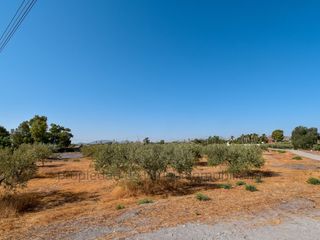 Landgut in Torrecilla. En venta terreno rústico