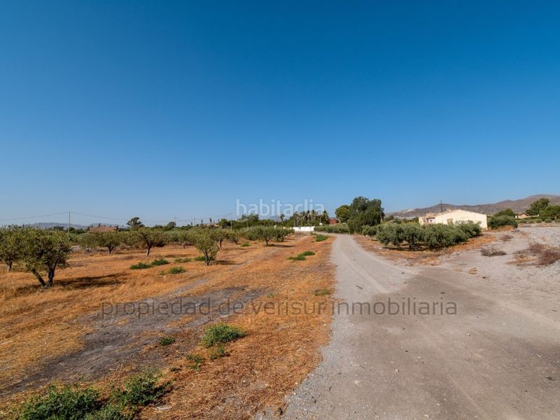 Foto fdb3b1ba-0c18-4462-846e-0a08412d8c7a. Finca rústica en venta terreno rústico en Torrecilla Lorca