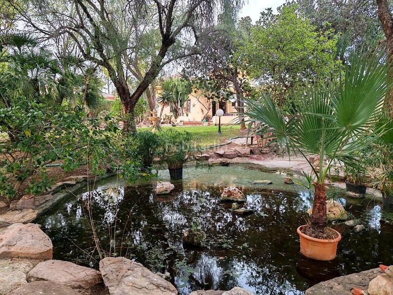 Foto 37bc7a4e-57d1-4b27-af39-16cce53d4fba. Maison avec piscine dans Perleta - Maitino Elche / Elx