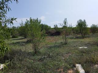 Finca rústica a Requena. Parcela rustica en polígono  el  romeral de requena