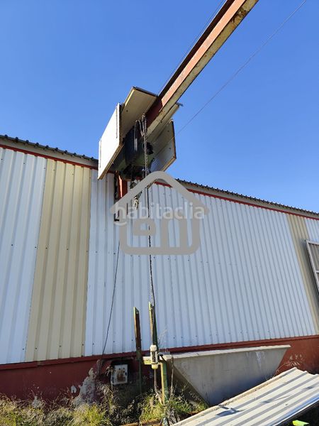 Foto 194f277e-6569-4c04-a4fd-42eed1fdfda7. Nau industrial a Requena
