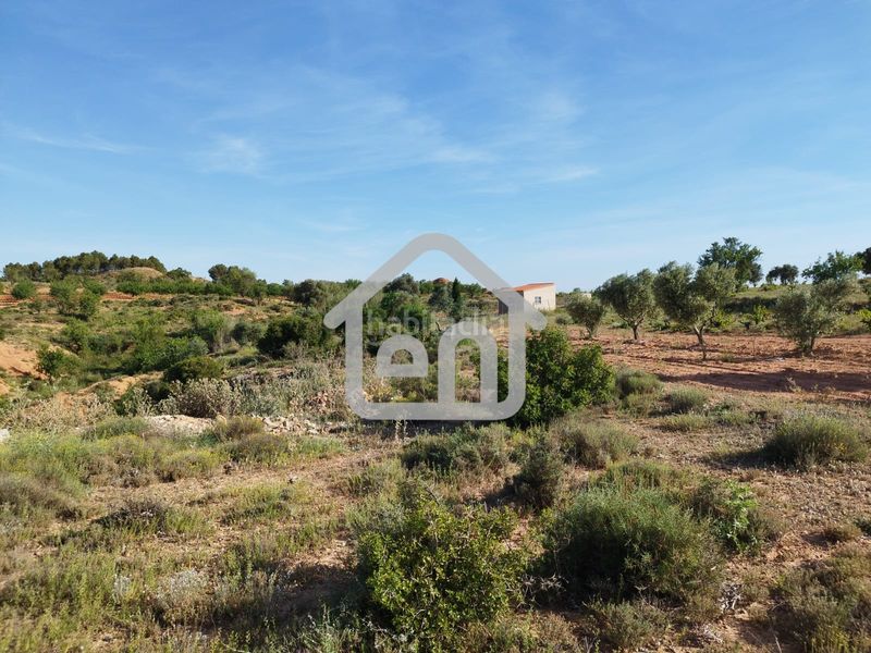Foto 0a47926d-6f8e-4d67-a2c9-e9de09ecb186. Finca rústica a calle escuelas derr 6 a Requena