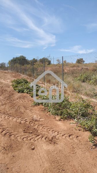 Foto 279aeea8-2982-4abc-b5b0-c90e12349748. Finca rústica a calle escuelas derr 6 a Requena
