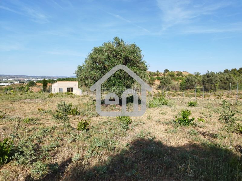 Foto 32c543b3-e851-4236-950d-33d58f09727d. Finca rústica a calle escuelas derr 6 a Requena