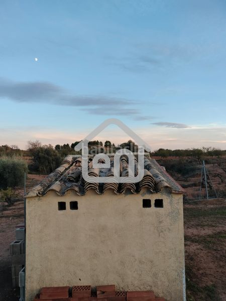 Foto 617177b2-8ee3-4eb1-8be8-ce21c31468be. Finca rústica a calle escuelas derr 6 a Requena
