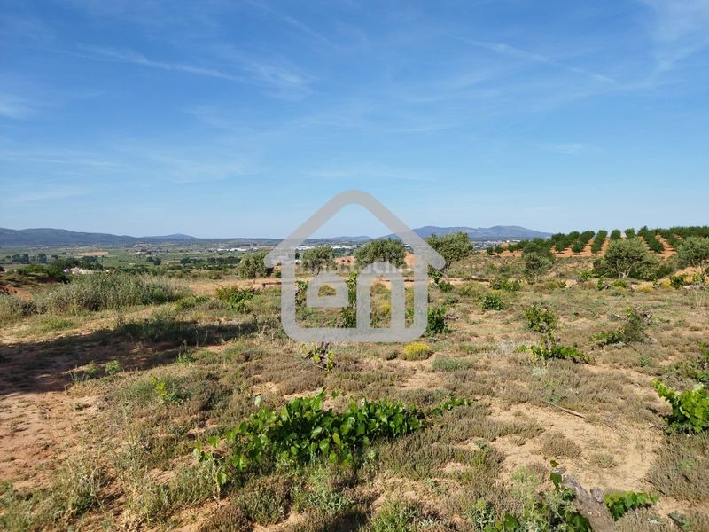 Foto 933e4a68-d1d1-48dc-b692-c2978cac0d2e. Finca rústica a calle escuelas derr 6 a Requena
