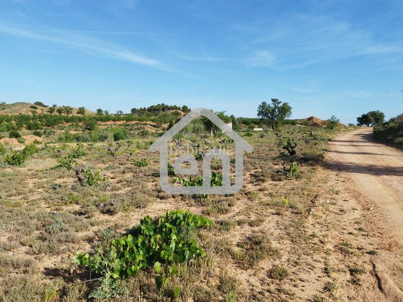 Foto e4ba225f-30f8-4b74-a048-6ab30c242477. Finca rústica a calle escuelas derr 6 a Requena