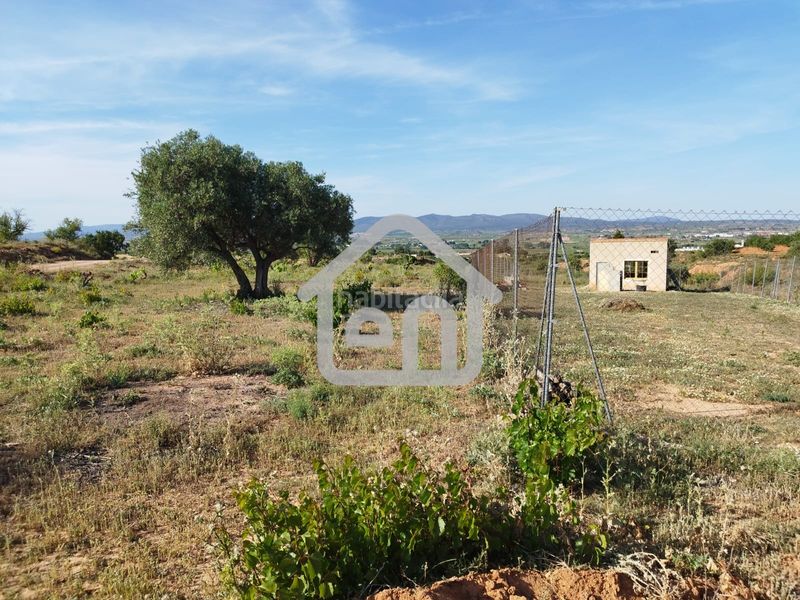 Foto f8848e47-623b-42f0-96db-d199c84c5d61. Finca rústica a calle escuelas derr 6 a Requena