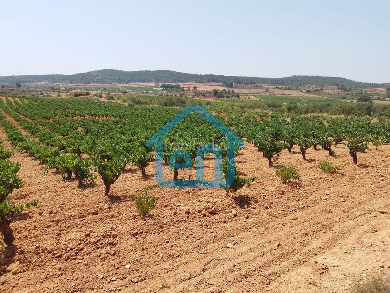 Foto 0cd9b02b-95b4-432a-a84b-7638e44d247d. Finca rústica a Requena