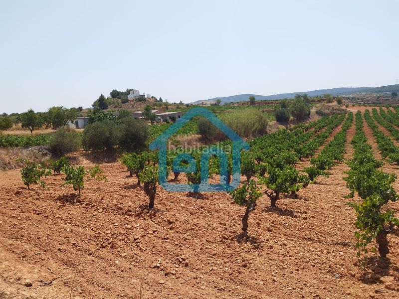 Foto bae4b64a-dce9-43a3-b0d8-5d334d562b87. Finca rústica a Requena