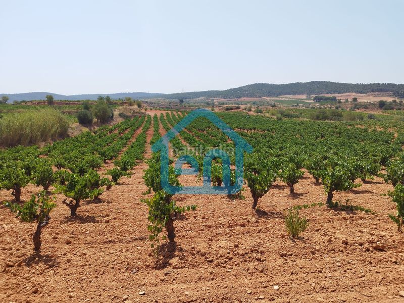 Foto c8d722b8-5f59-4e7a-9573-dc69d22f2f48. Finca rústica a Requena
