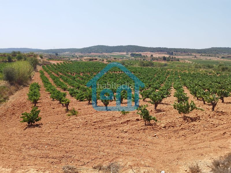 Foto e836cb99-44c6-472f-9ddf-f26106a45ec3. Finca rústica a Requena